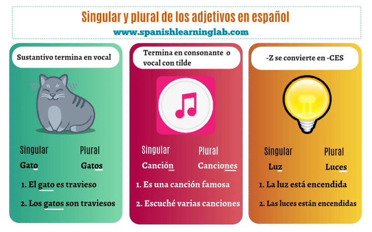 Singular and Plural nouns in Spanish basic rules and examples