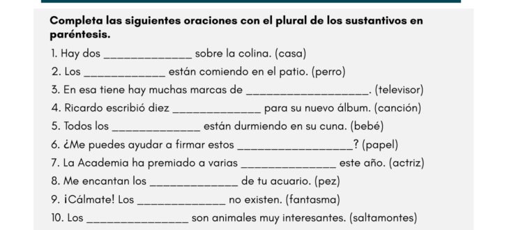 Singular and Plural Nouns in Spanish - PDF Worksheet - Ejercicios sobre el plural y el singular en español