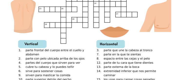 el cuerpo humano en español ejercicios the human body Spanish pdf worksheet