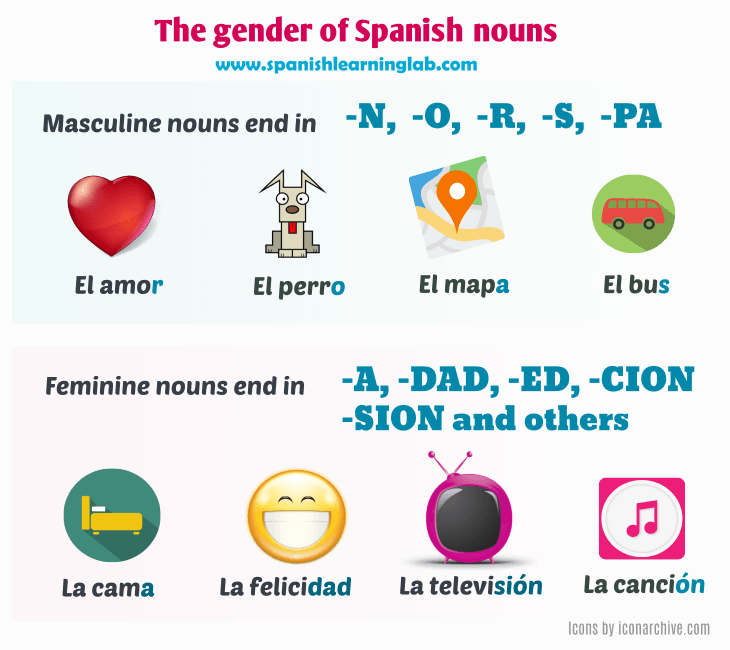 The gender of Spanish nouns - masculine and feminine nouns in Spanish