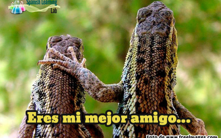 Making Friends in Spanish: Introductions and Greetings