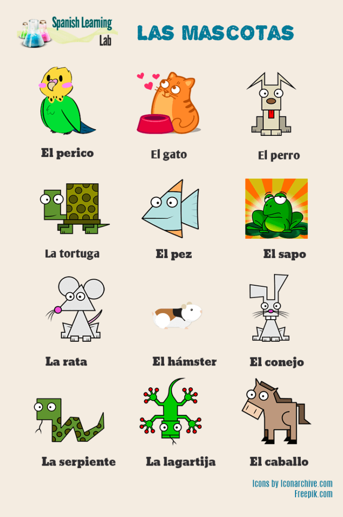 Pets and domestic animals in Spanish