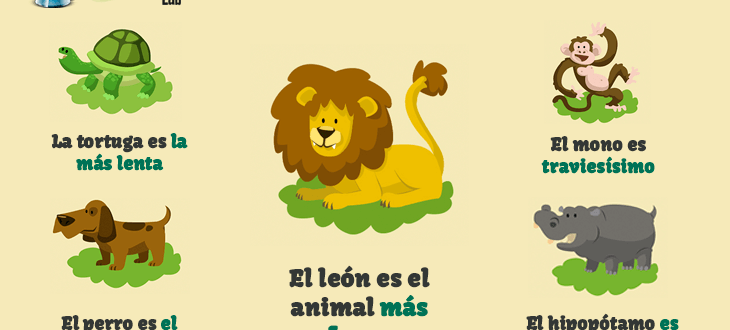 The superlative in Spanish rules and examples