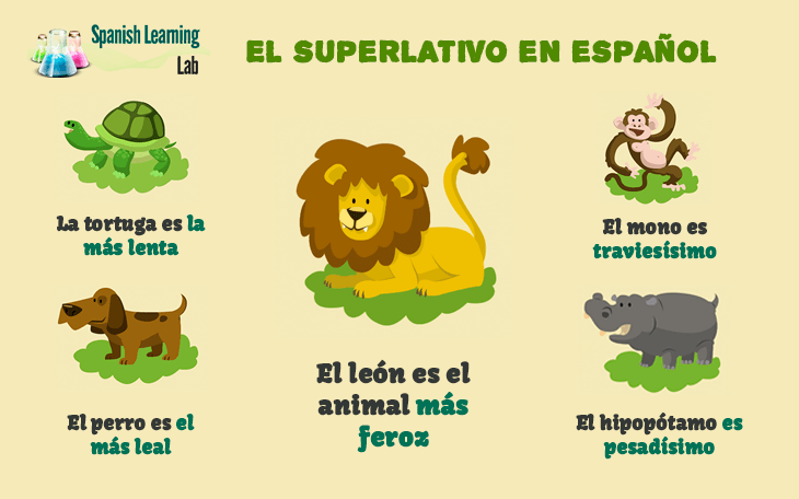 Superlatives in Spanish rules examples practice