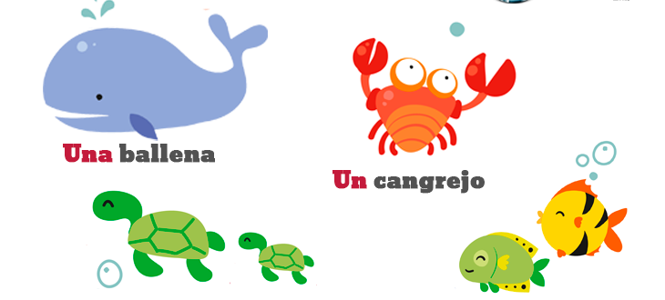 Los artículos indefinidos en español