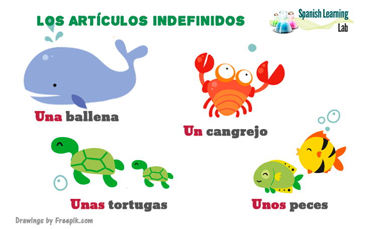 Los artículos indefinidos en español