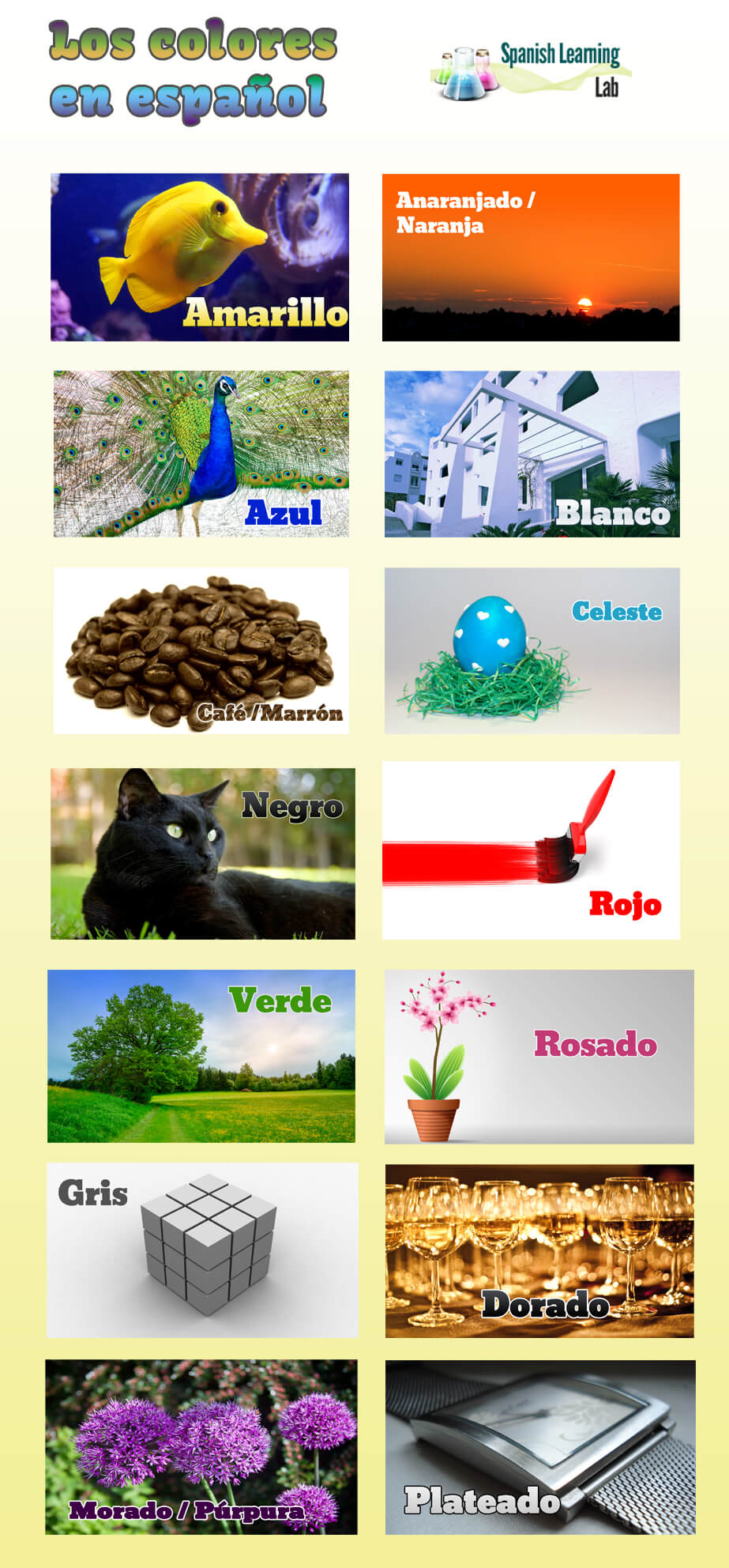 Los colores en español
