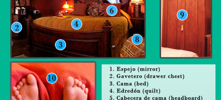 Los cosas de la habitación en español