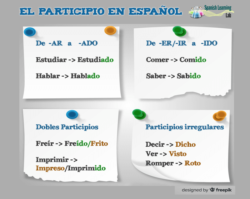 Como Formar El Participio En Espanol Ejemplos Y Ejercicios