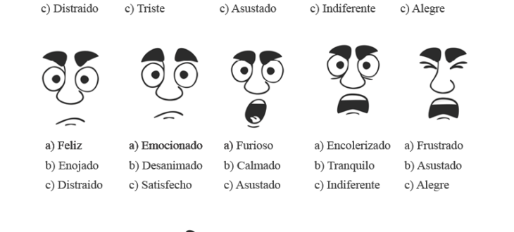 Adjectives for Feelings and Emotions: Spanish Worksheet PDF hoja de trabajo sentimientos y emociones en español