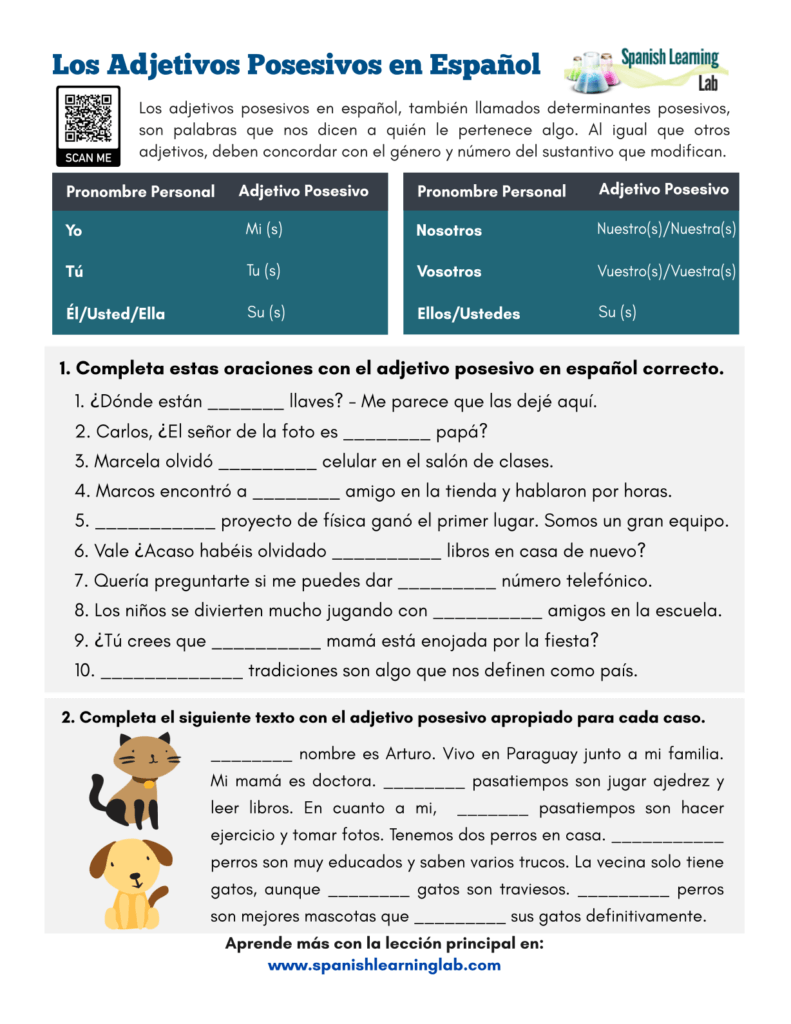 Possessive Adjectives Spanish Worksheet