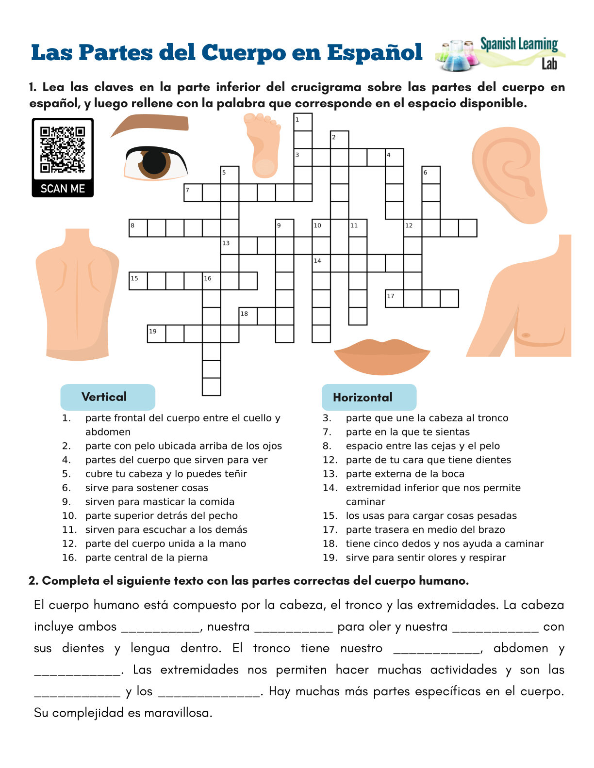 Las Partes del Cuerpo en Español: Frases y Actividades de Escucha