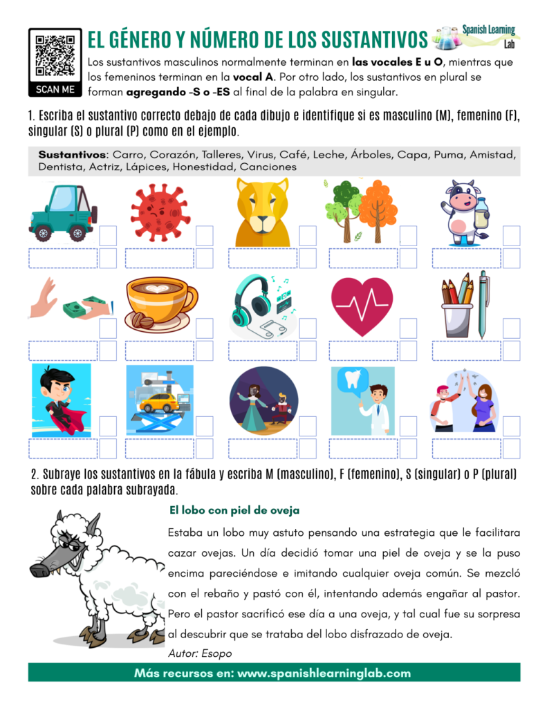 genero y numero de los sustantivos ejercicios Spanish nouns gender and number pdf worksheet