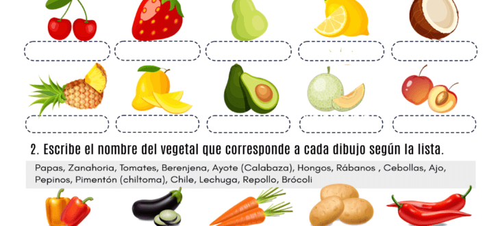 frutas y vegetales español ejercicios fruits and vegetables Spanish PDF worksheet