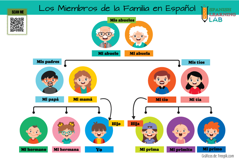 Lista de Miembros de la Familia en Español y oraciones al respecto. 