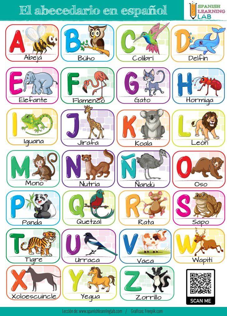 El alfabeto en español / El abecedario en español