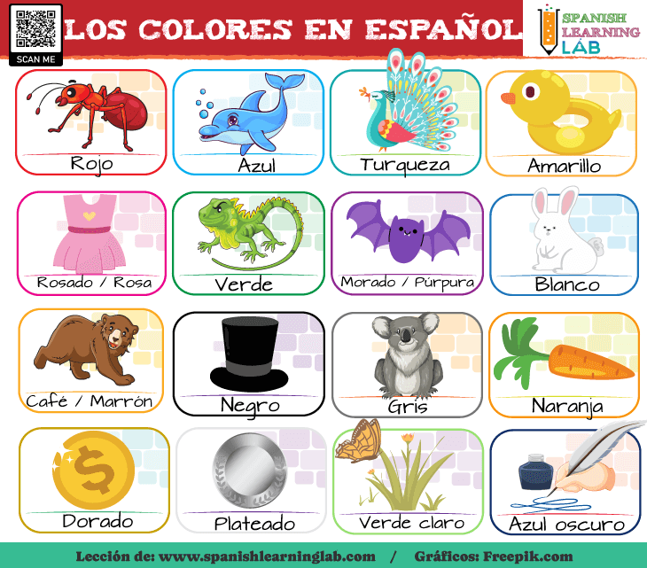 El vocabulario sobre los colores en español usando animales y objetos comunes