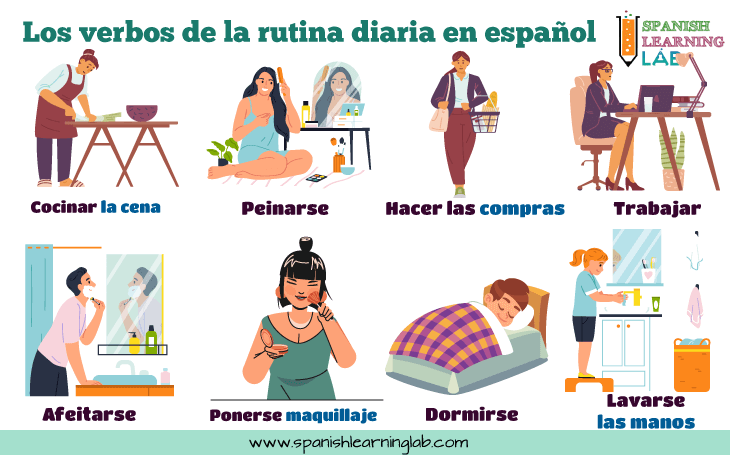 Los verbos para describir la rutina diaria en español