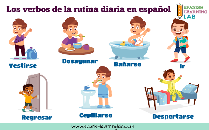 Los verbos para describir la rutina diaria en español por la mañana