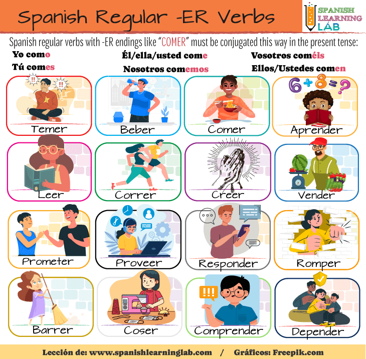 A list of common -ER ending regular verbs in Spanish and how to conjugate them in the present tense. 