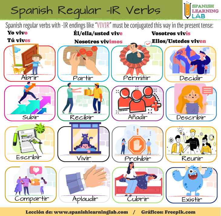 A list of common -IR ending regular verbs in Spanish and how to conjugate them in the present tense