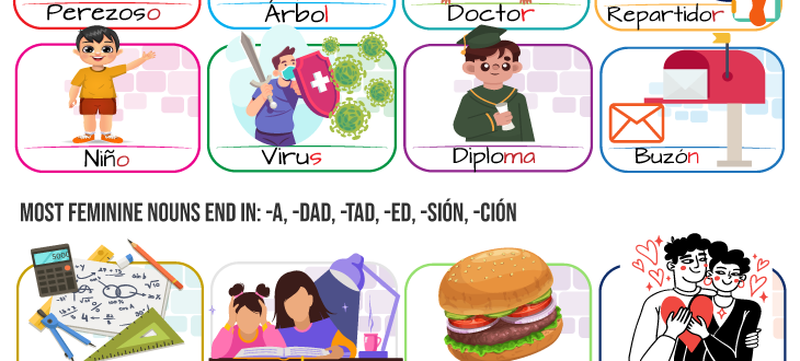 The gender of Spanish nouns and a list of common words in the language in feminine and masculine form