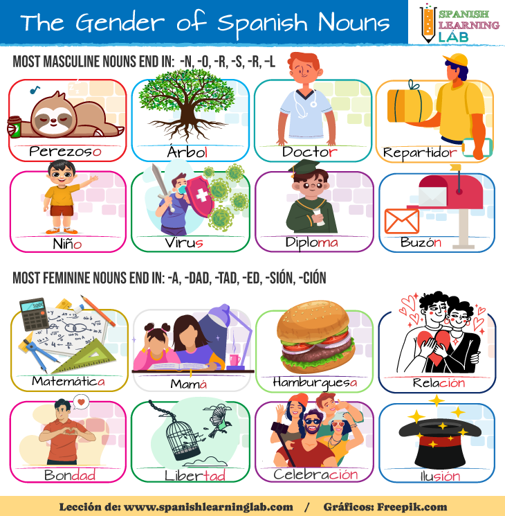 The gender of Spanish nouns vocabulary list and rules