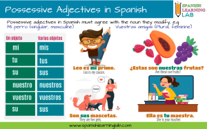 Using possessive adjectives in Spanish in sentences