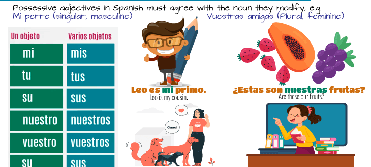 Using possessive adjectives in Spanish in sentences