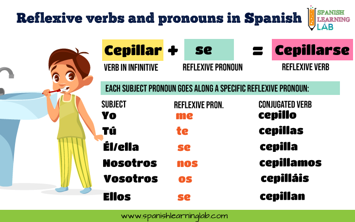 How to use reflexive verbs and pronouns in Spanish to make sentences about daily routines.