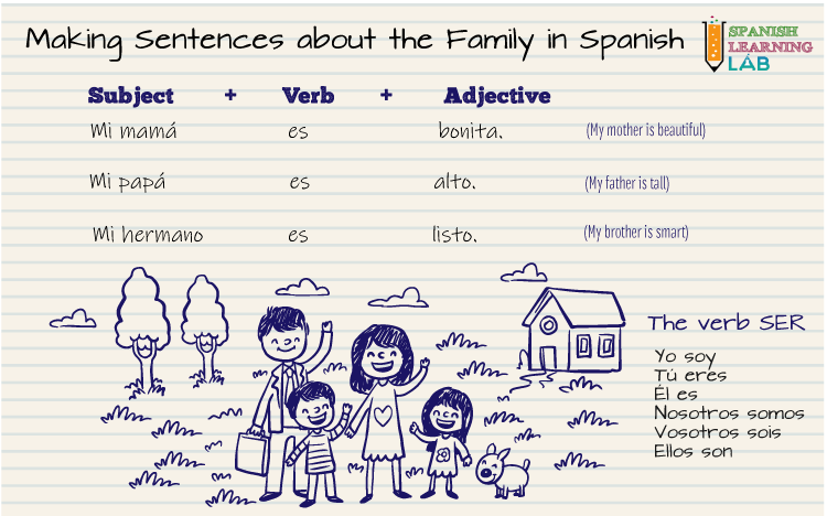 How to form sentences using SER and adjectives to describe family members