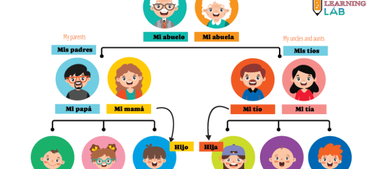 The vocabulary for family members in Spanish through a family tree