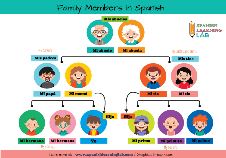 The vocabulary for family members in Spanish through a family tree