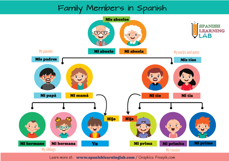 Talking About Family Members In Spanish Spanish Learning Lab