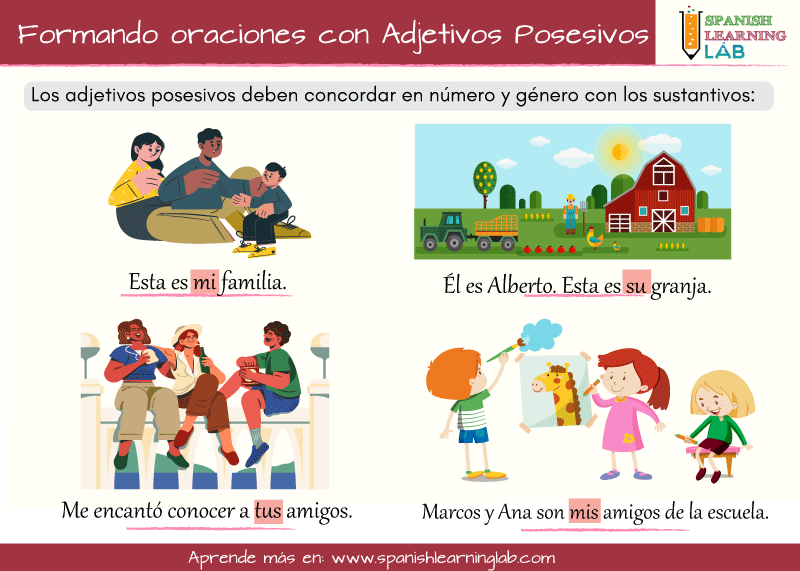 Cómo formar oraciones con los adjetivos posesivos en español