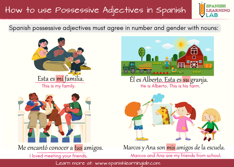 The rules to use Spanish possessive adjectives in sentences