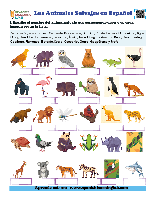 Los Animales Salvajes en Español ejercicios de vocabulario en pdf