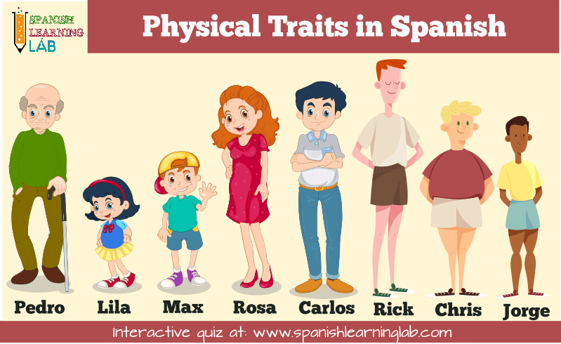 Adjectives for physical traits in Spanish and short descriptions for interactive quiz