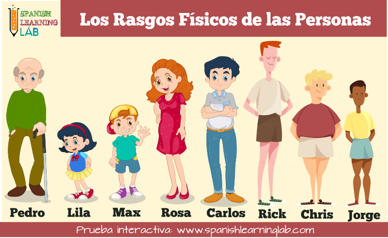 Ejercicios en prueba interactiva sobre los rasgos físicos de las personas en español