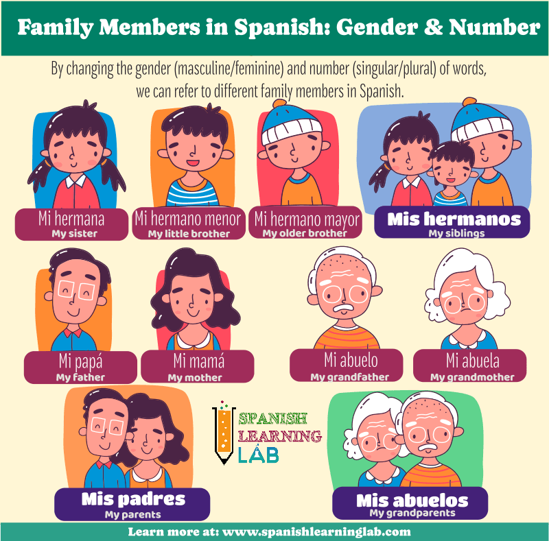 The vocabulary for family members in Spanish and ways to change their gender and number.