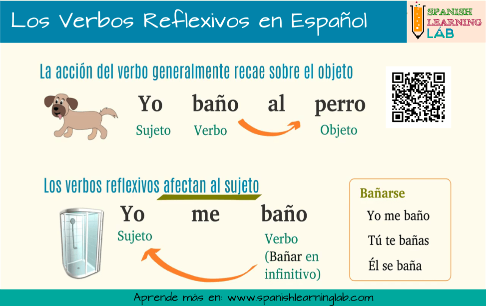 Diferencias entre los verbos comunes y los verbos reflexivos en español