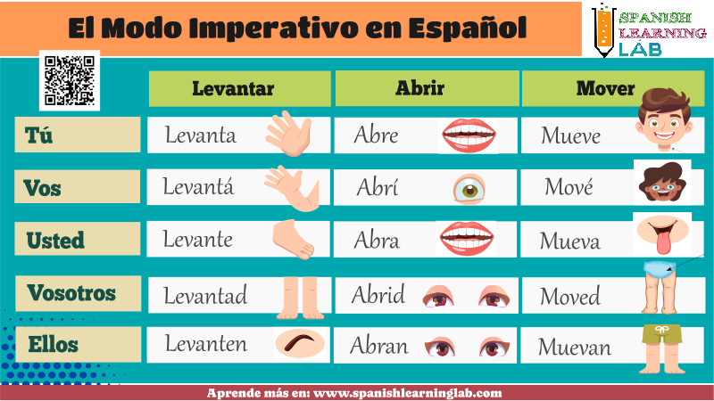 El modo imperativo en español y dando instrucciones sobre el cuerpo humano con el imperativo en español