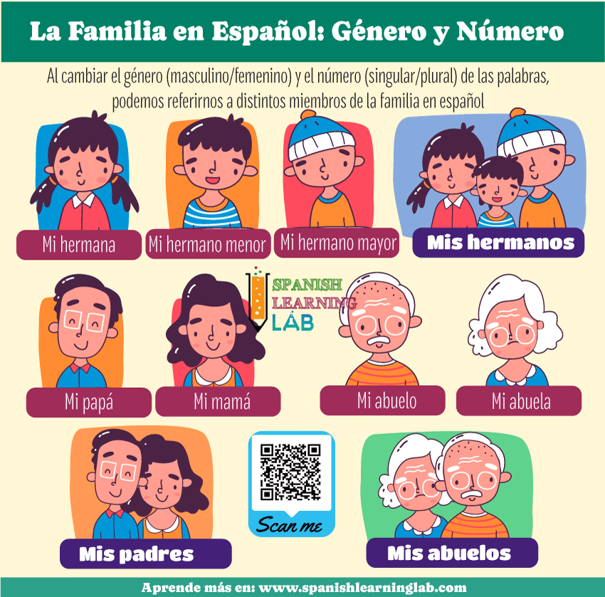Cambios en género y número para hablar de miembros de la familia en español con adjetivos posesivos