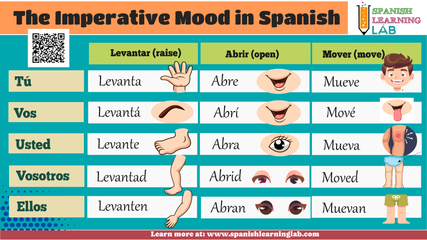 The imperative mood in Spanish and the human body