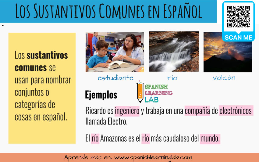 definición y ejemplos de sustantivos comunes en español