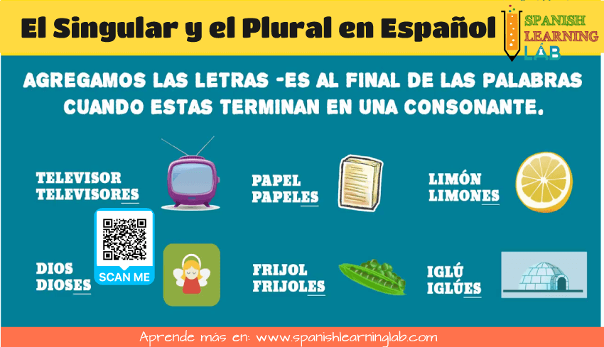 El plural y el singular en español de las palabras terminadas en consonantes con ejemplos de sustantivos