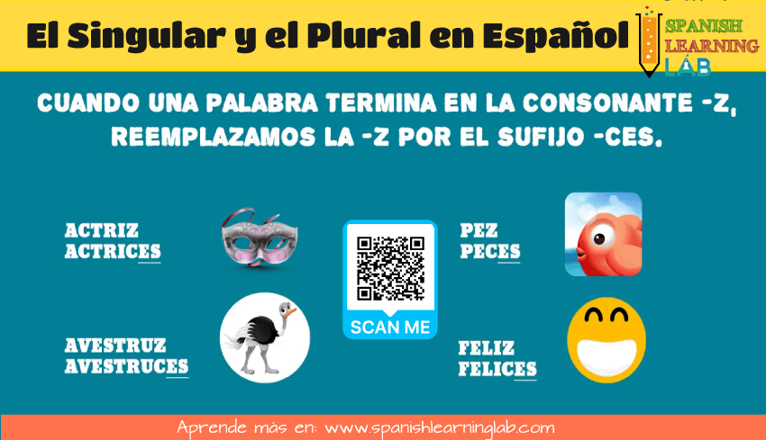 el singular y el plural de los sustantivos en español terminados en Z