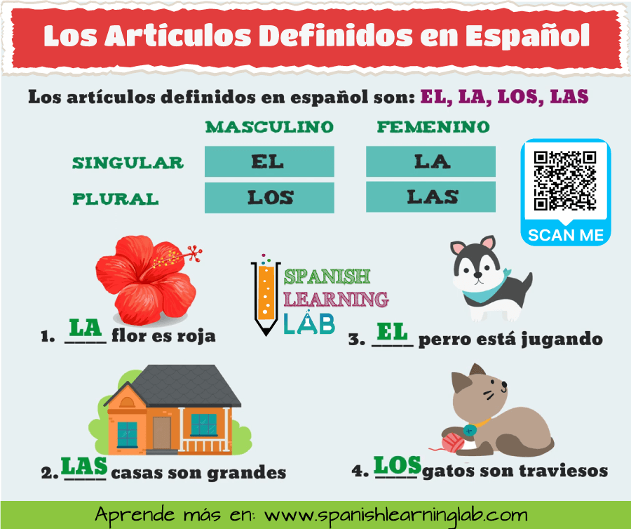 las reglas para usar los artículos definidos en español con ejemplos de oraciones