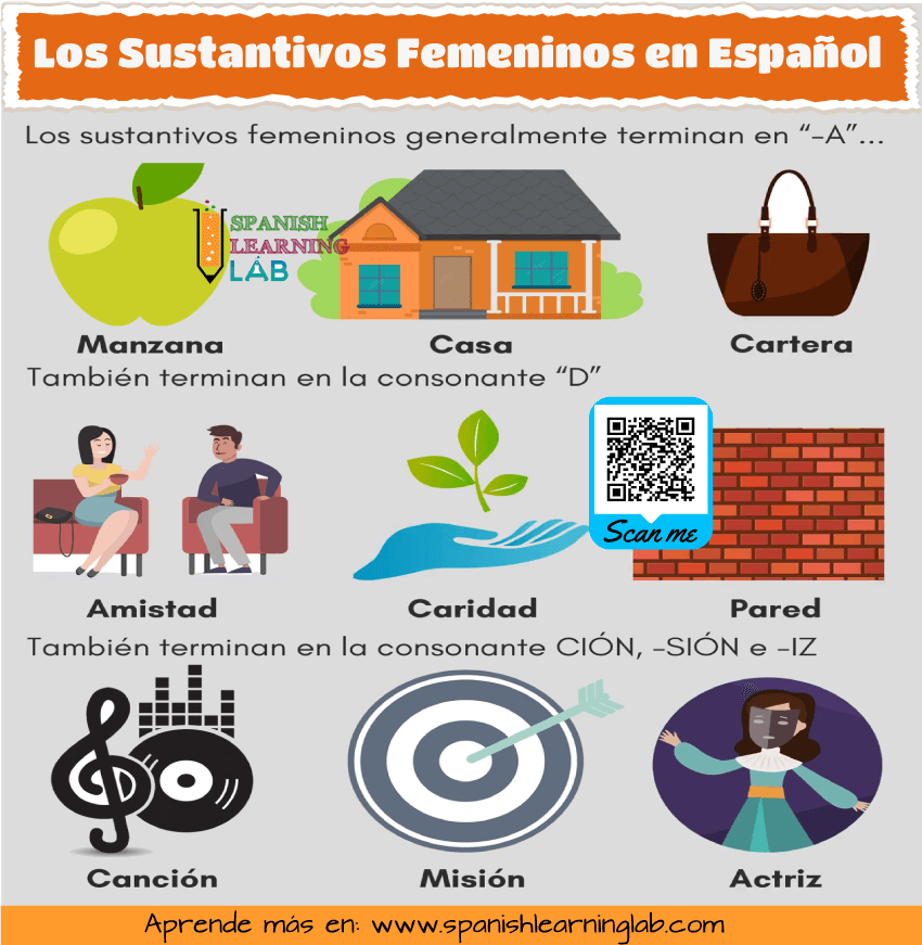 reconociendo el género de los sustantivos femeninos en español según la terminación de las palabras.