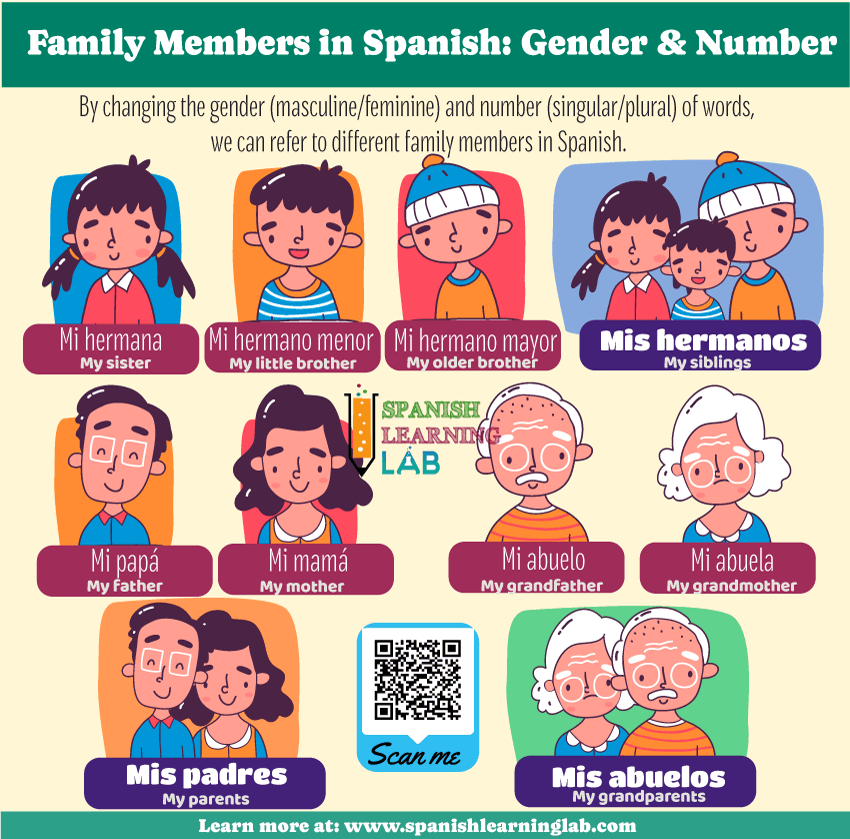 The vocabulary for family members in Spanish and ways to change their gender and number and use them with Spanish possessive adjectives
